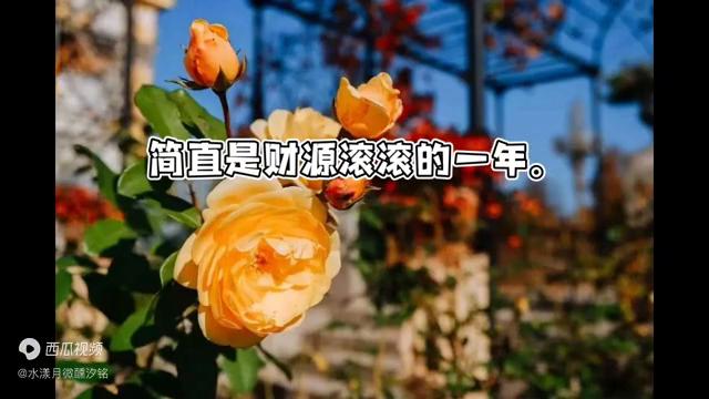 2024年澳门金牛版网站,具体实施指导_网红版20.833